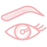 Hairstrokes / Hairstrokes bei Beauty Royal